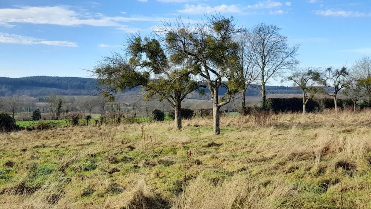 Gite Cottage Chaleureux En Pleine Campagne Vue Sur Les Monts Et Forets Et Le Chateau De Carrouges Экстерьер фото